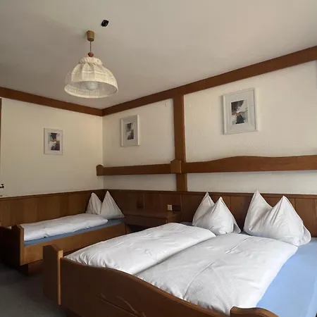 Pensión Frühstückspension-appartementhaus Wasserer 2*